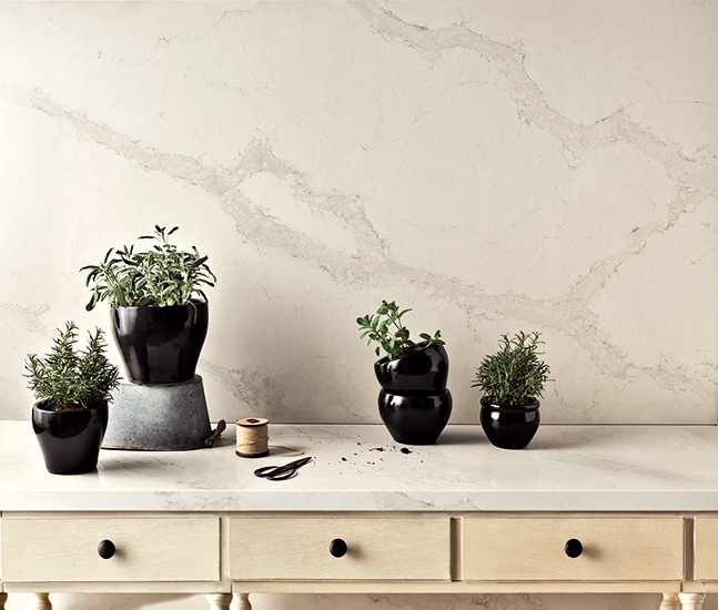 5131 Calacatta Nuvo herbs