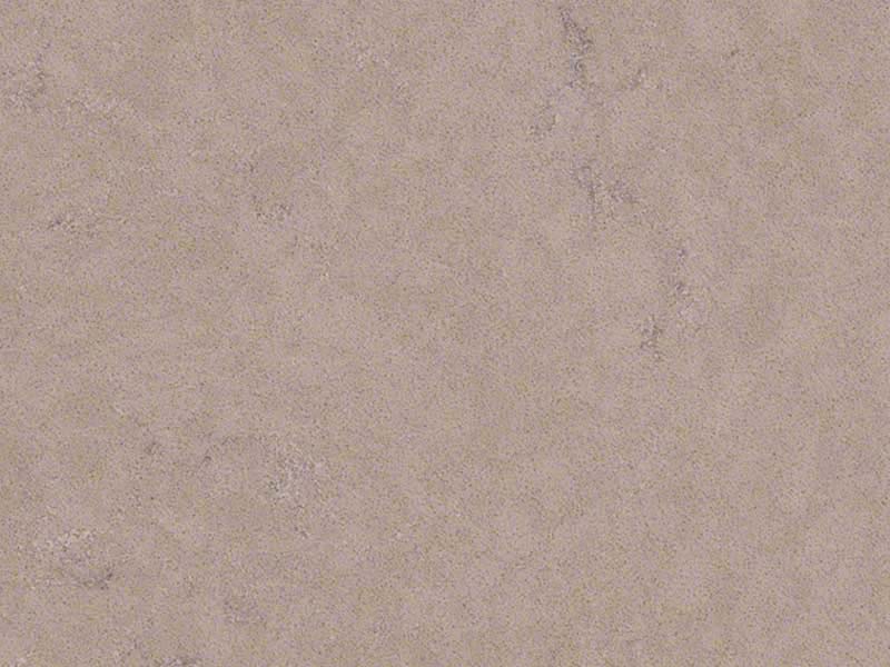 Boletus Quartz 1