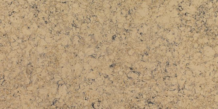 DBI 2014 Zodiaq Mocha Latte Slab 1