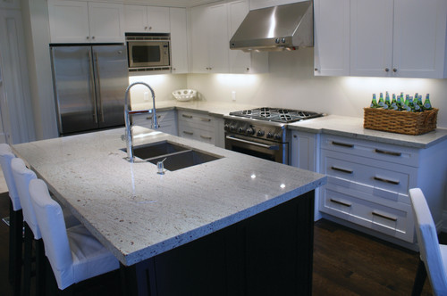 contemporary kitchen 1 7