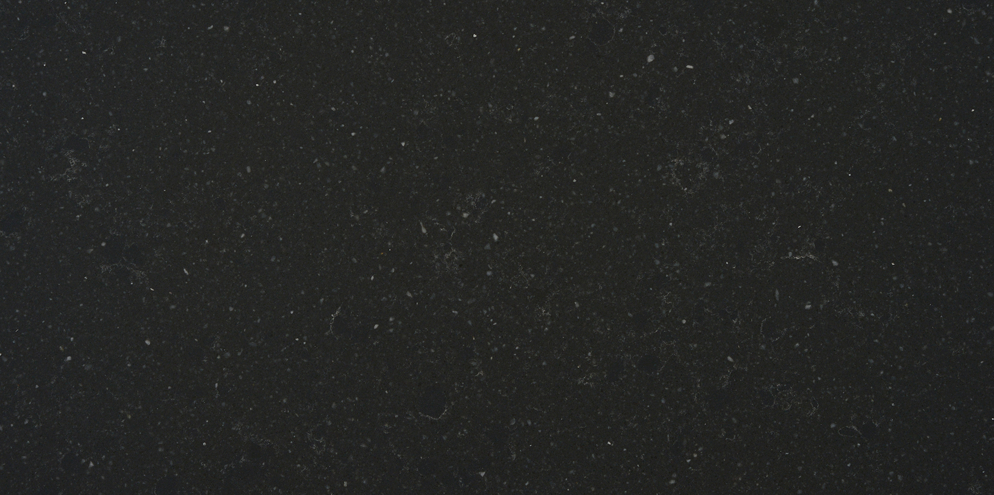 Belgium Blue AQ524HON a 1 1