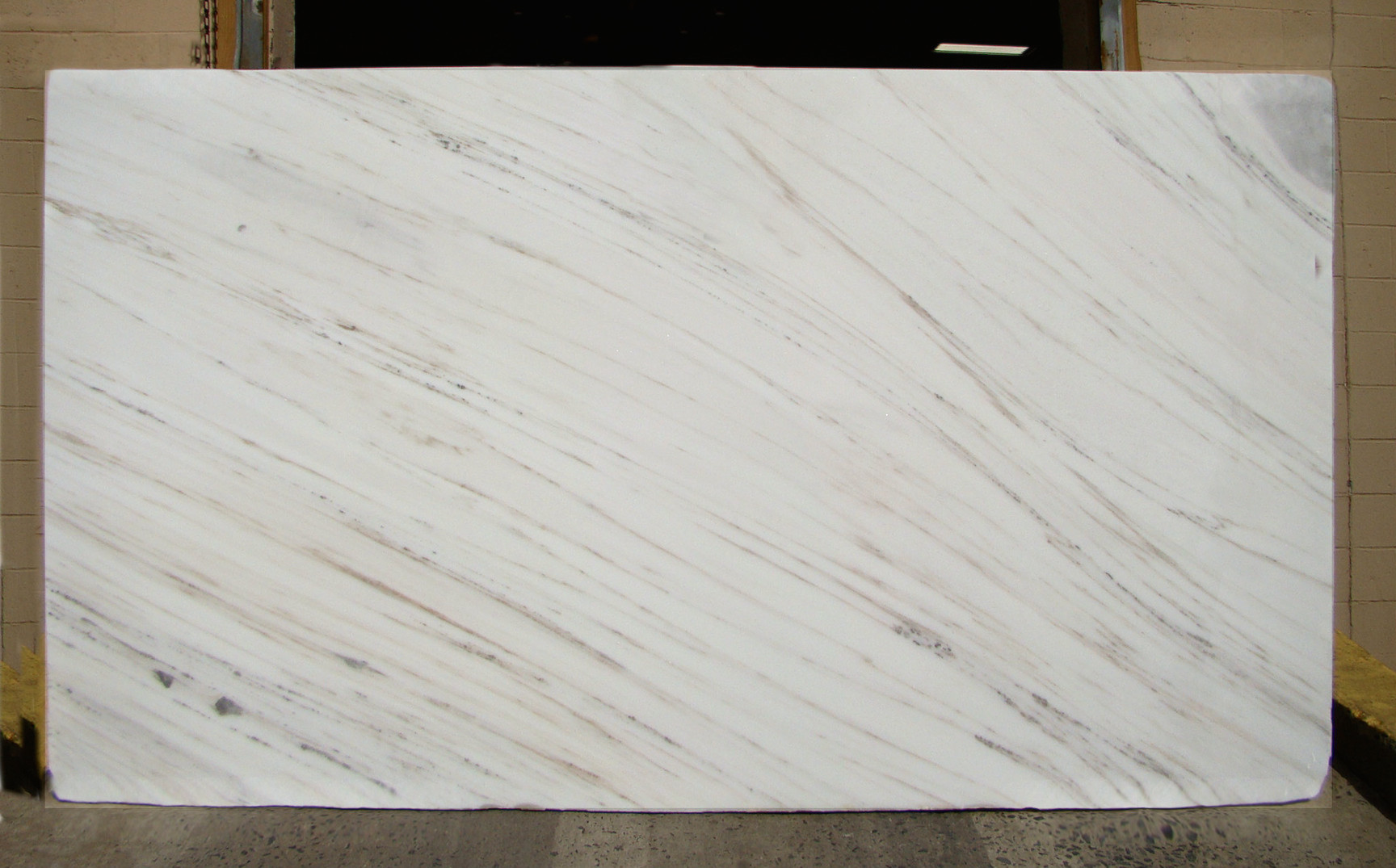 BIANCO ORO VEINCUT