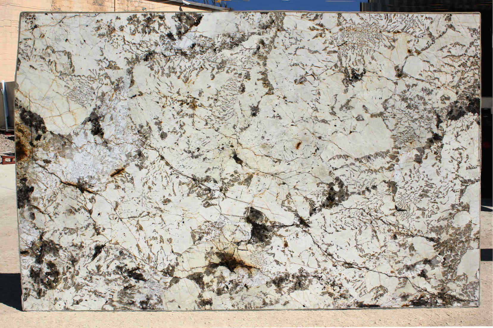 BLANC DU BLANC