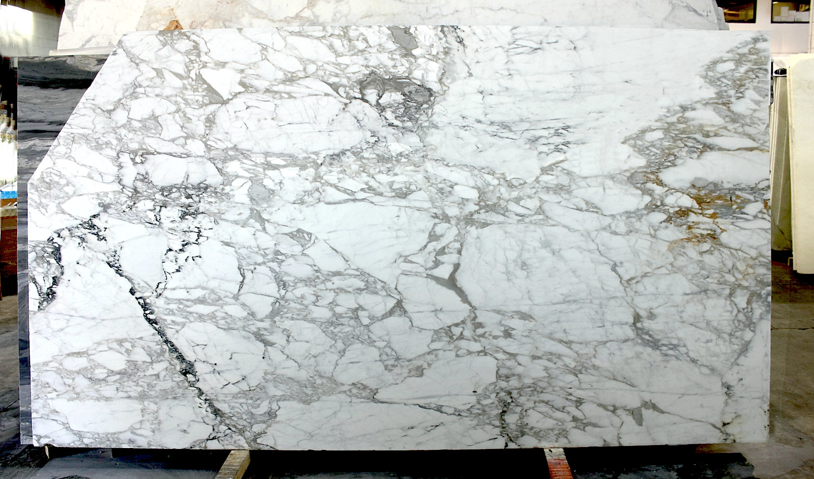 CALACATTA GOLD POLISHED