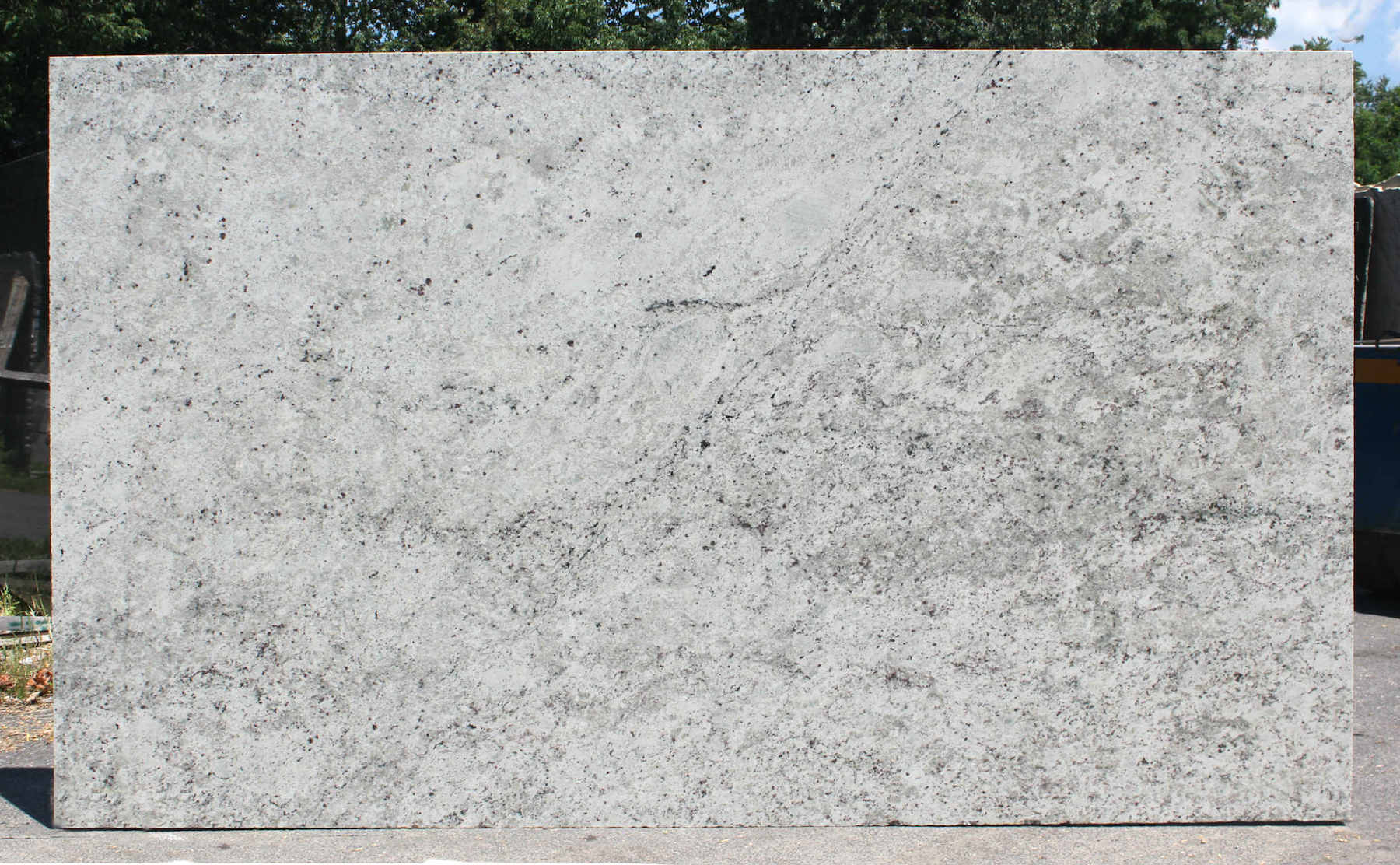 COLONIAL WHITE