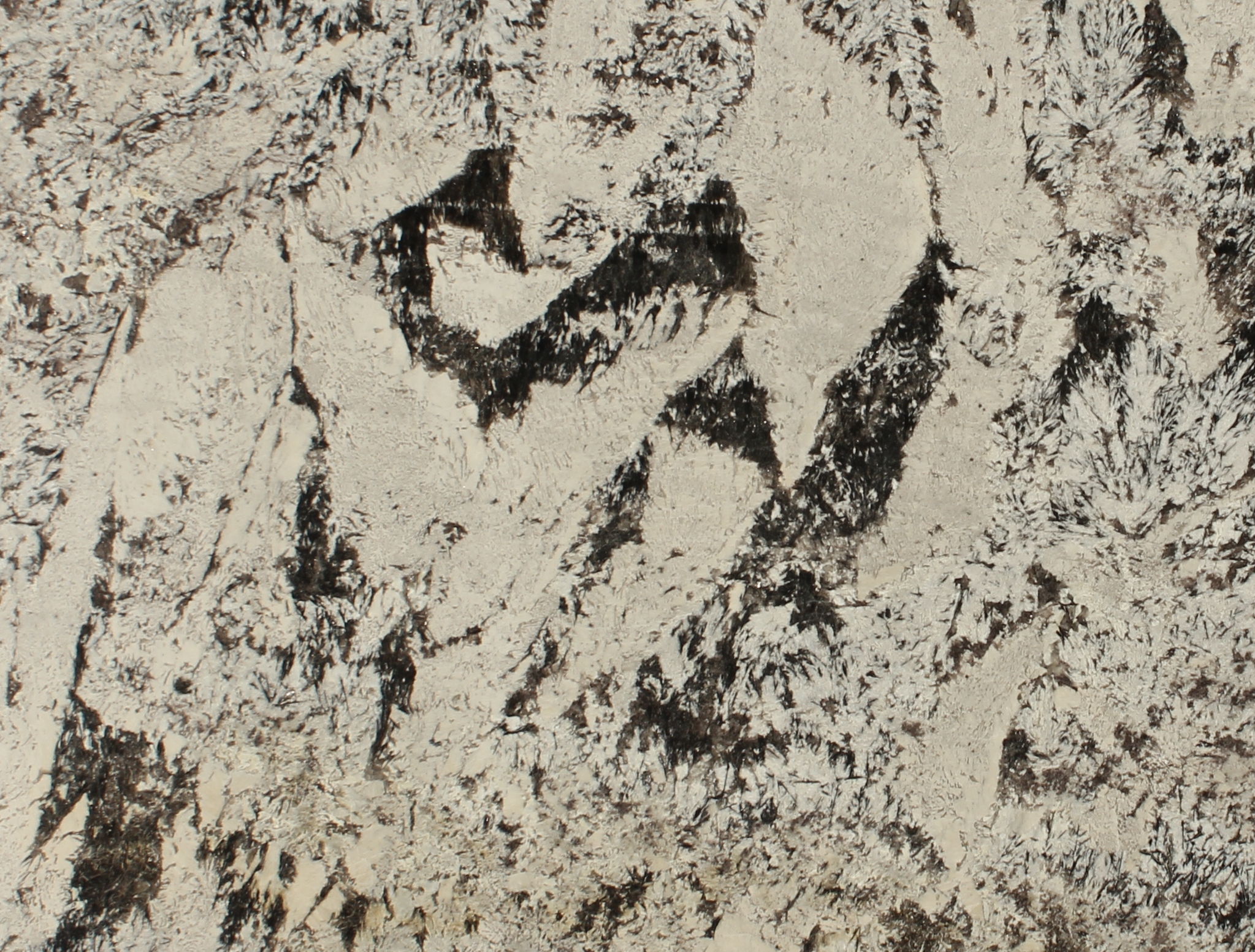 DELICATUS WHITE 1 SQUARE