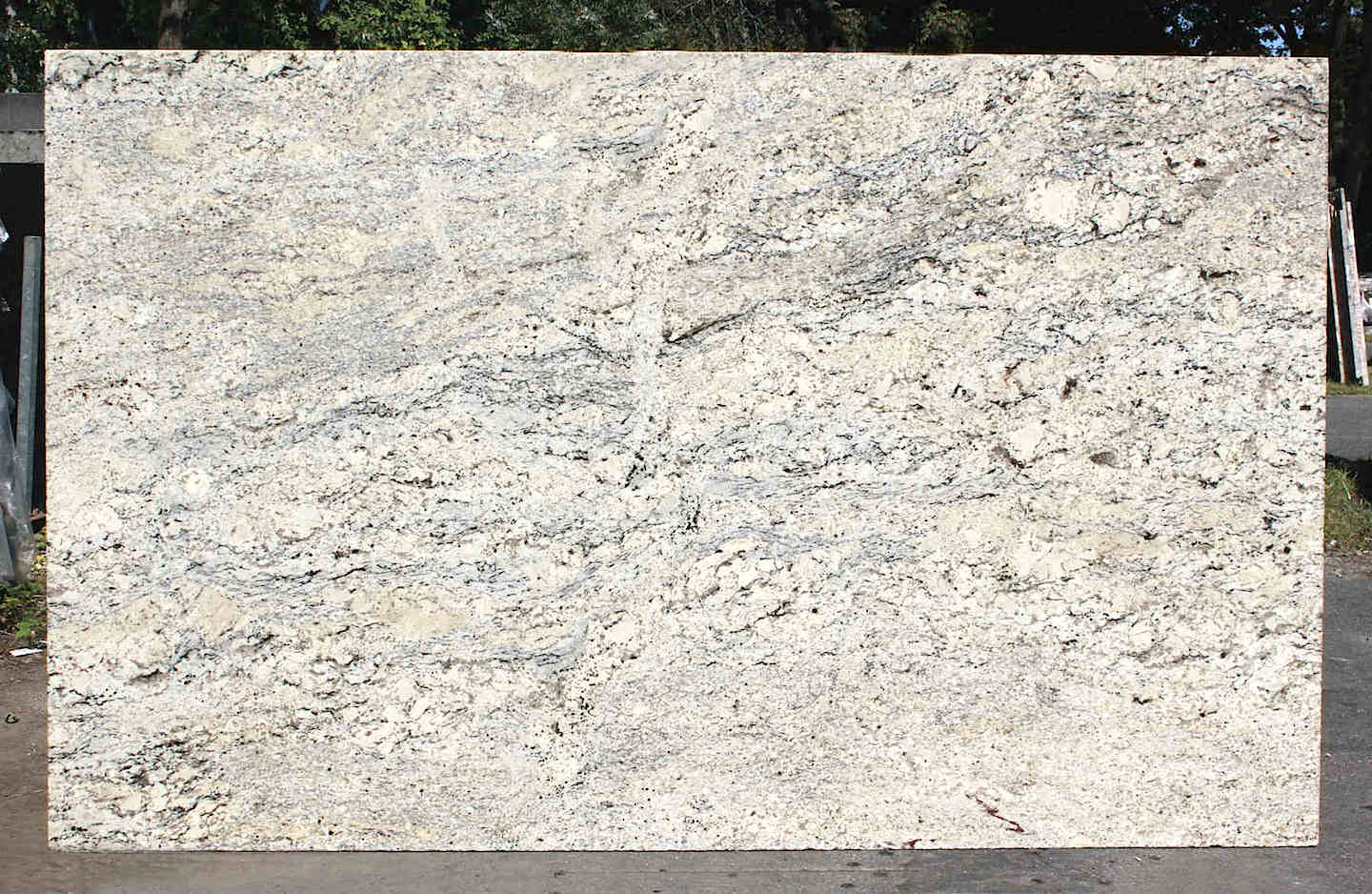 DELICATUS WHITE