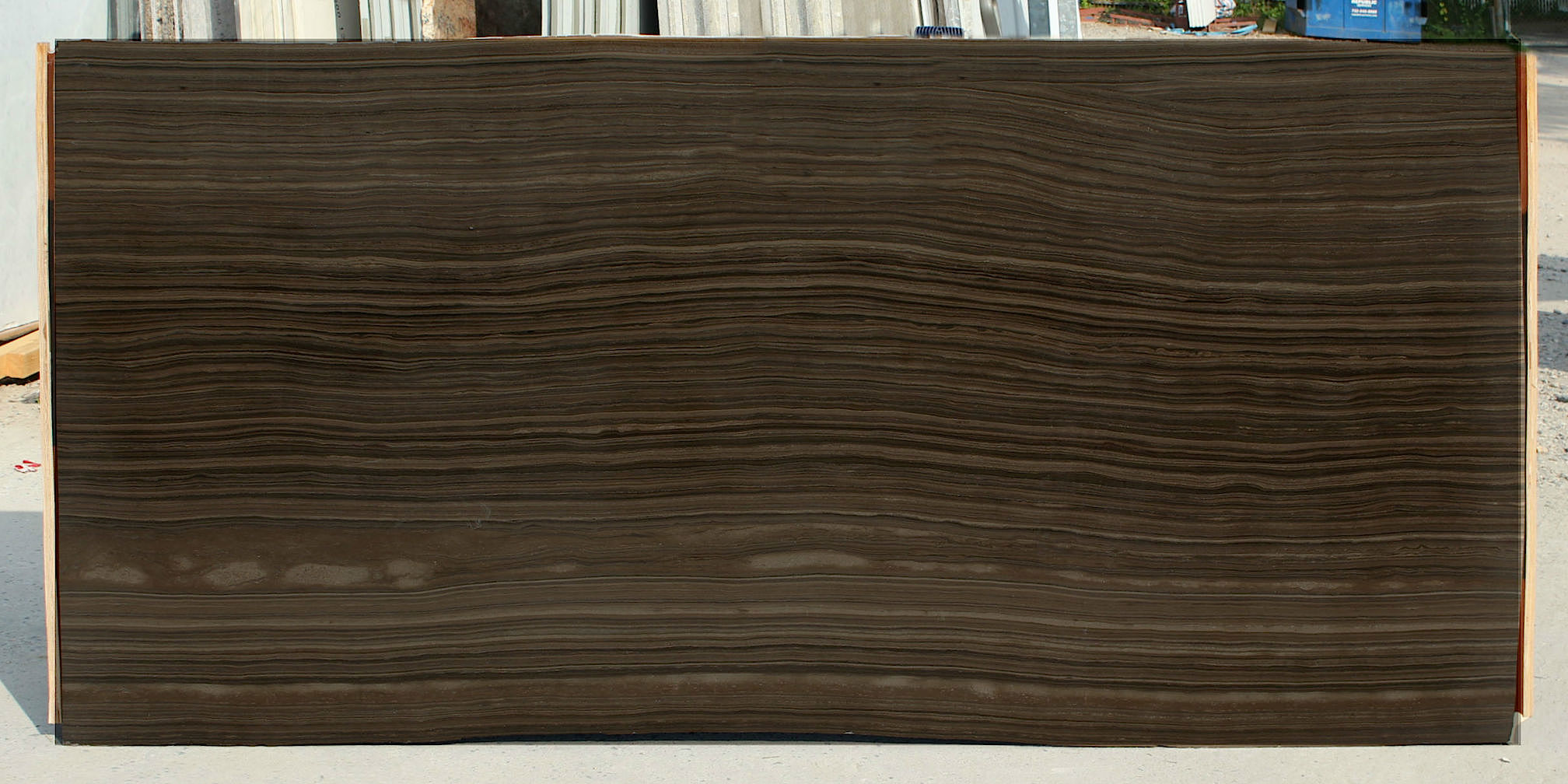 ERAMOSA VEIN CUT