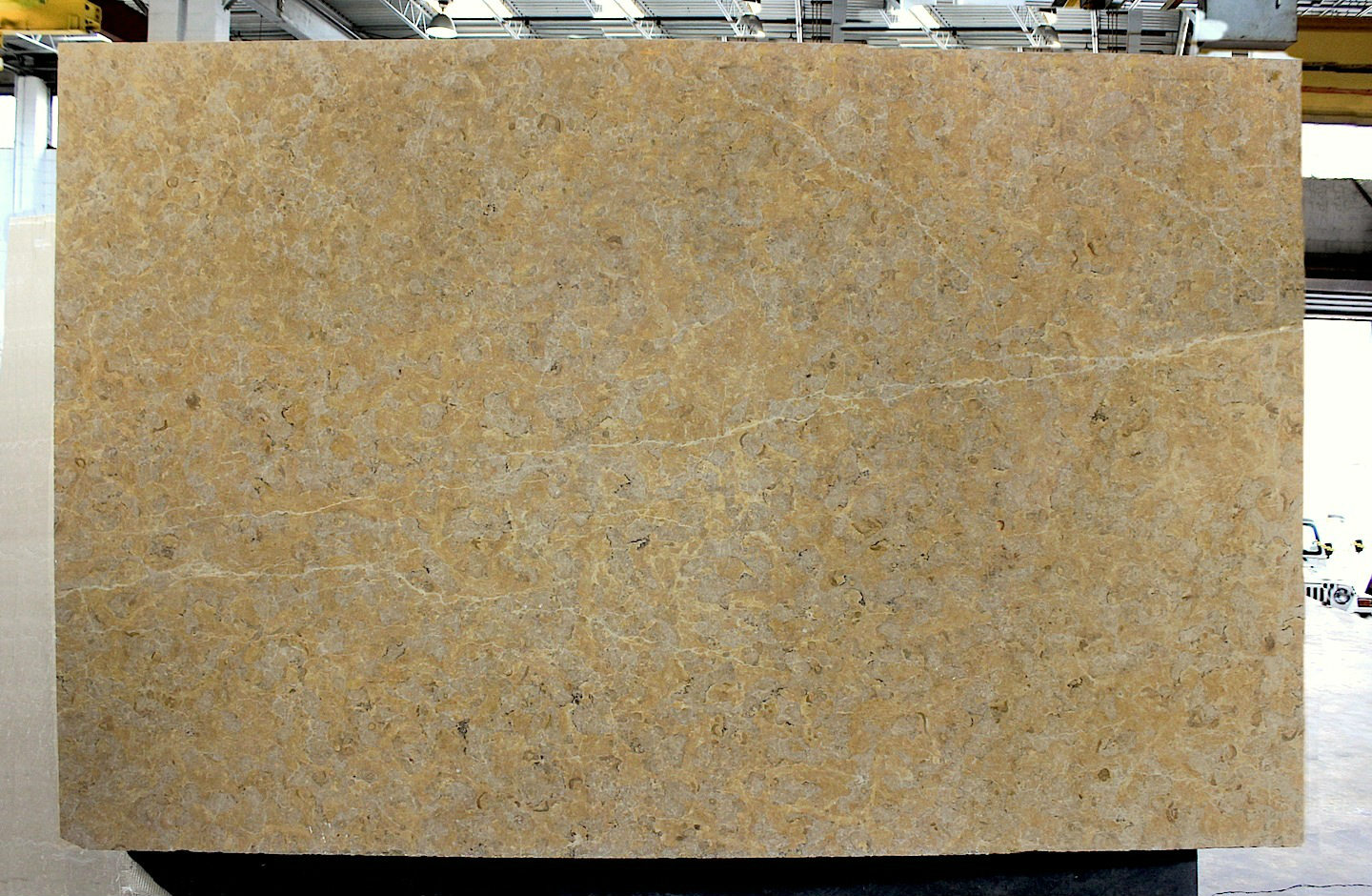 GIALLO REALE BRUSHED