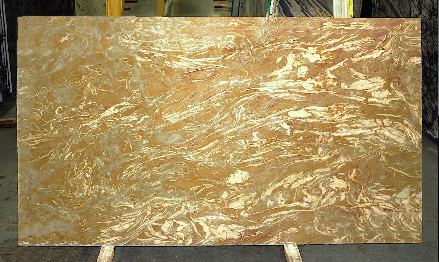 GOLDEN BRECCIA