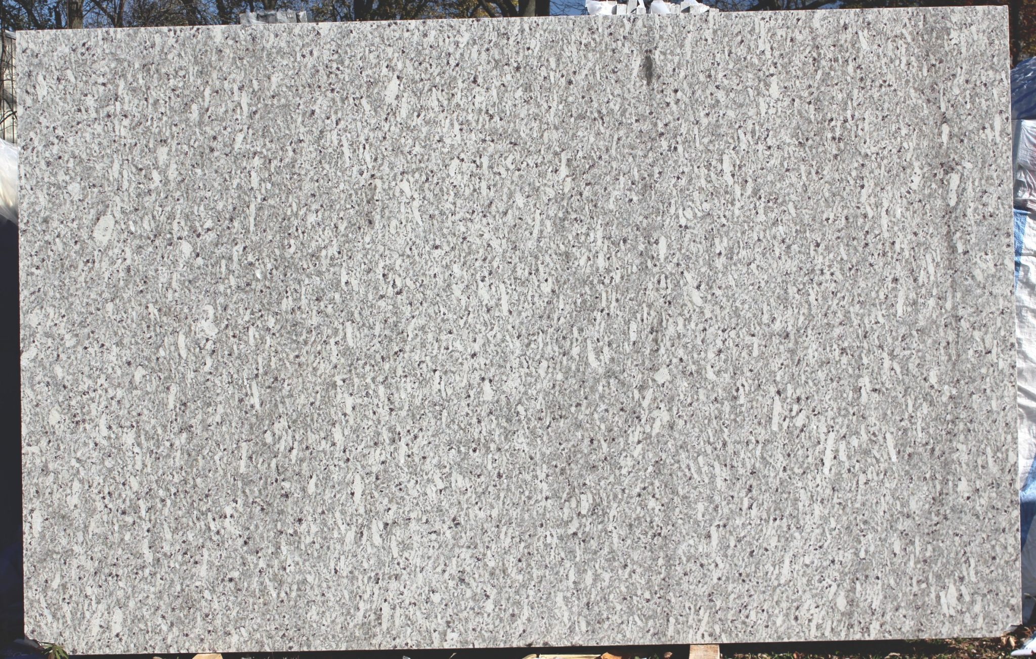 MOON WHITE