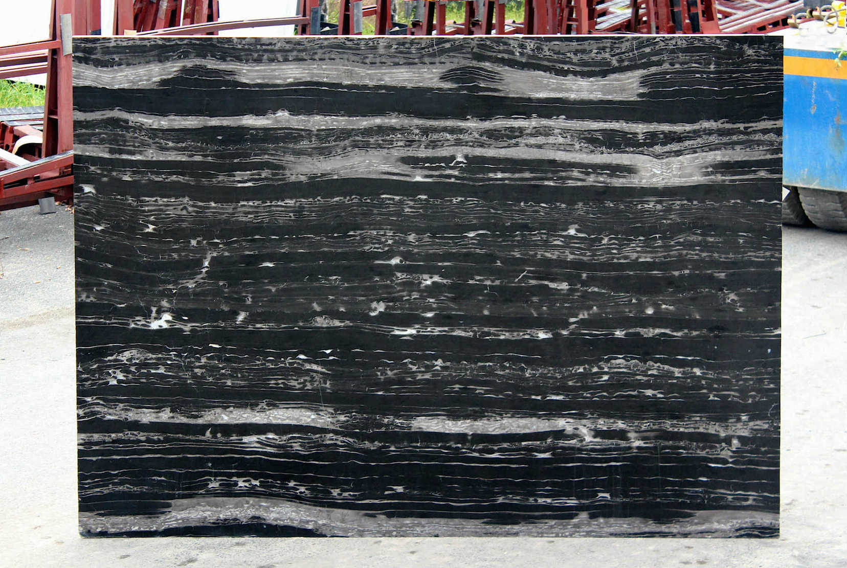 PORT BLACK AVP AZEROBACT