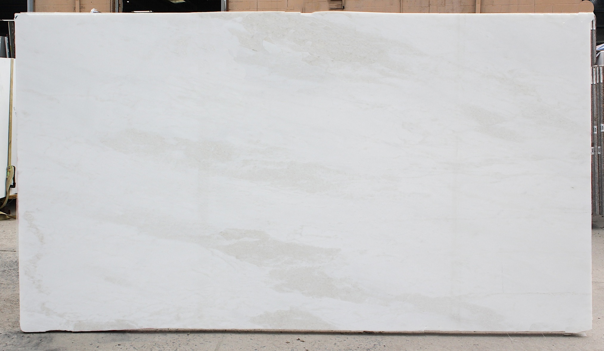 RHINO WHITE