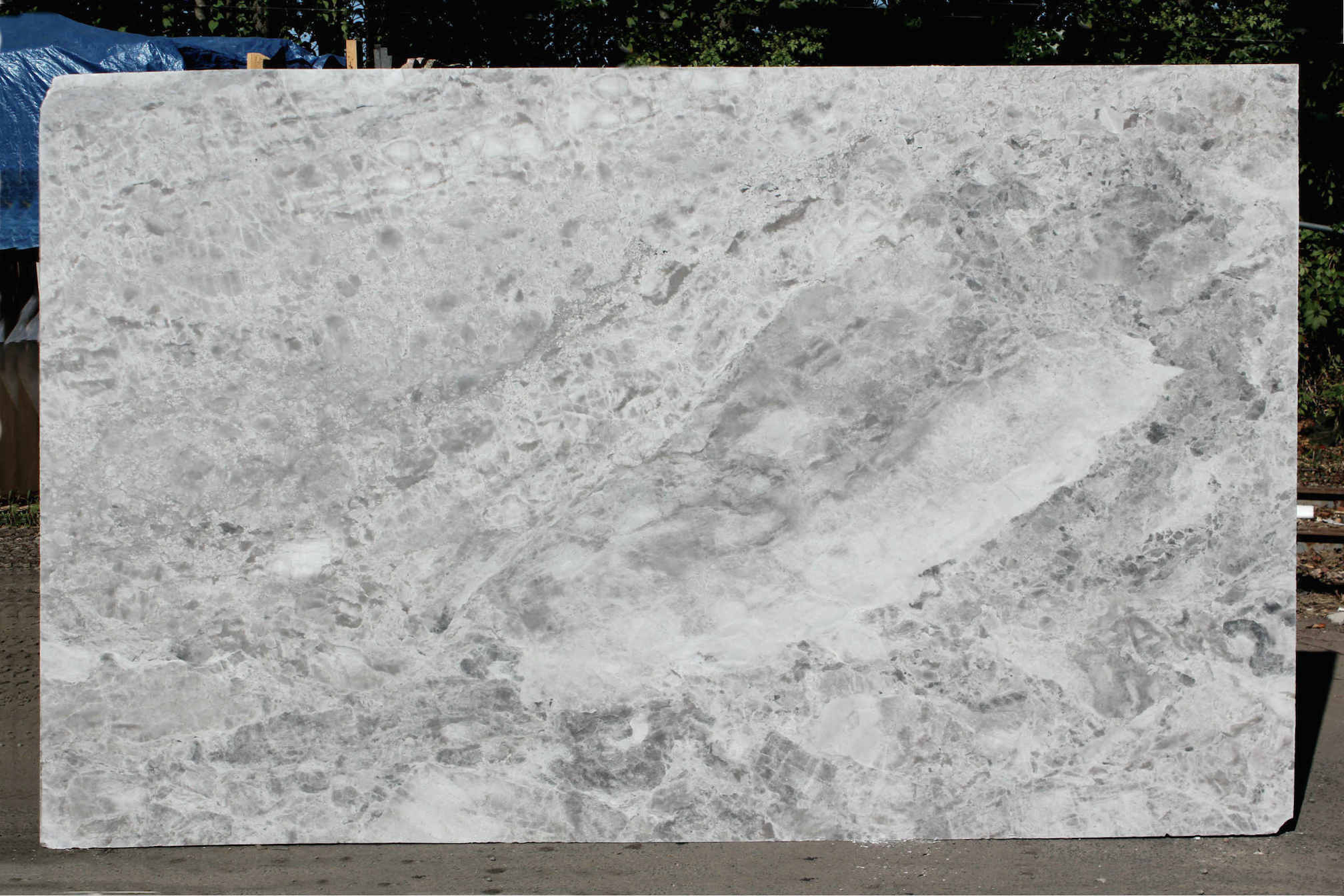 SUPER WHITE TOP AZEROBACT