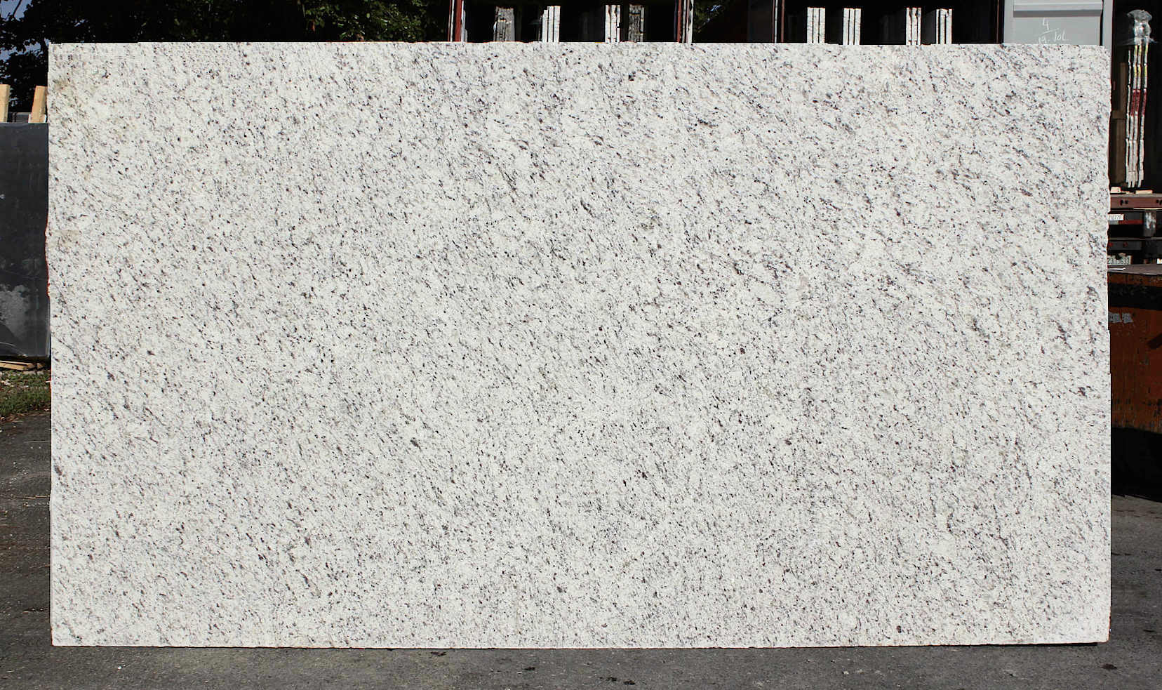 WHITE ORNAMENTALE