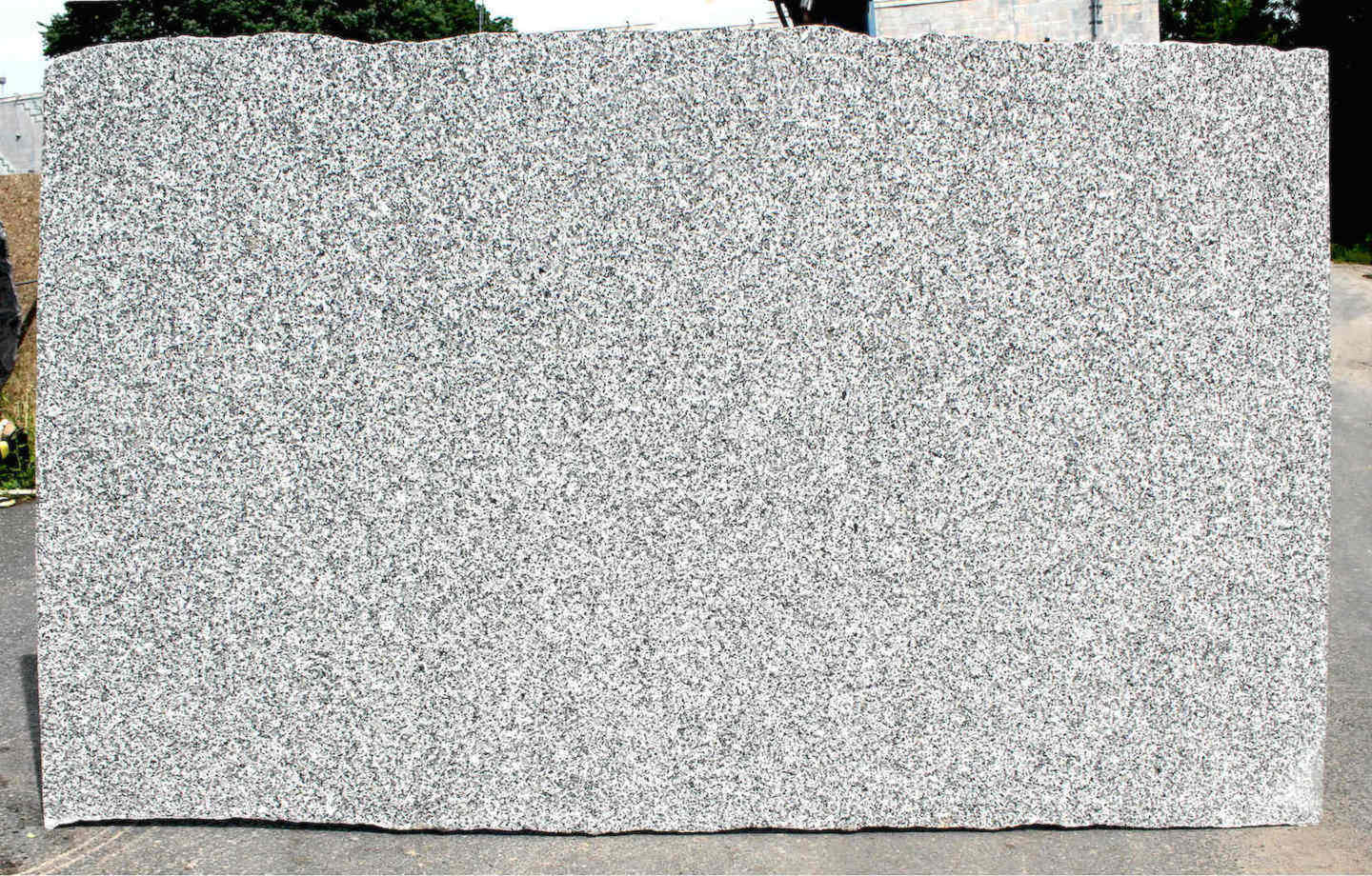 WHITE PEARL