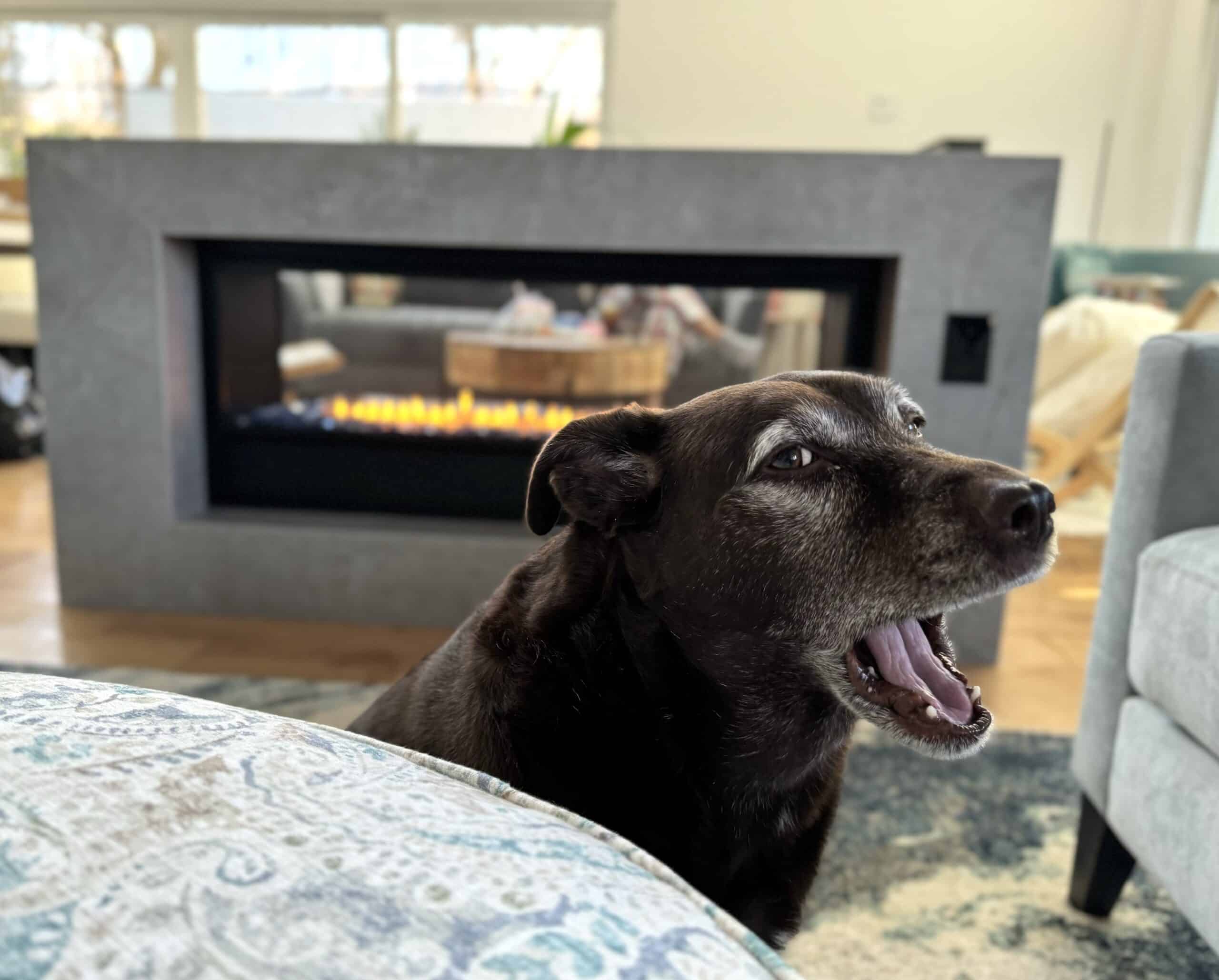 Soke Fireplace Surround with Dog Dekton