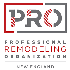 PRO NE Logo